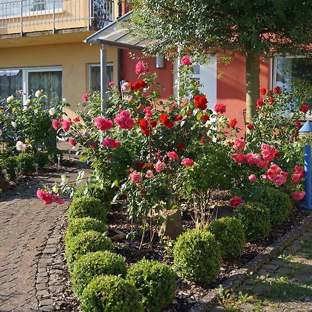 Ferienhaus Schloss-Garten Kapellen-Drusweiler Εξωτερικό φωτογραφία