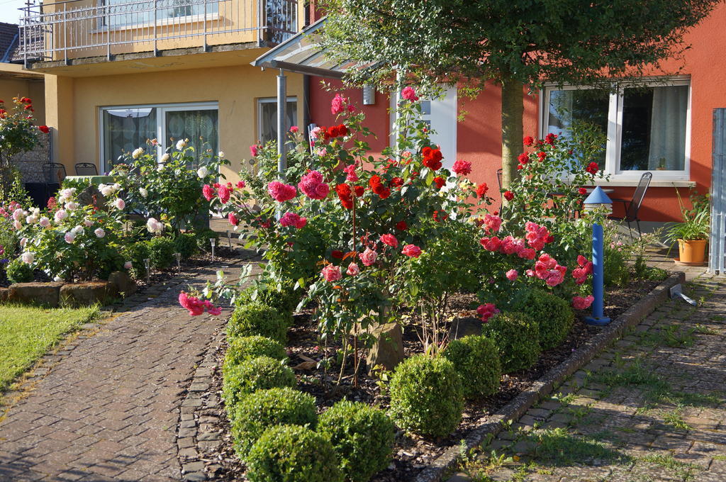 Ferienhaus Schloss-Garten Kapellen-Drusweiler Εξωτερικό φωτογραφία